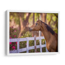 Flor Frolick I - Ozana Sturgeon | Cuadro decorativo de Canvas Lab