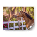 Flor Frolick I - Ozana Sturgeon | Cuadro decorativo de Canvas Lab