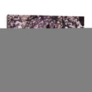 Flor Frolick Ii - Ozana Sturgeon | Cuadro decorativo de Canvas Lab