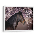 Flor Frolick Ii - Ozana Sturgeon | Cuadro decorativo de Canvas Lab