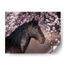 Flor Frolick Ii - Ozana Sturgeon | Cuadro decorativo de Canvas Lab