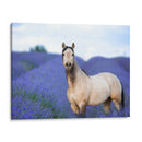 Flor Frolick Iii - Ozana Sturgeon | Cuadro decorativo de Canvas Lab