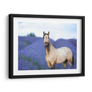 Flor Frolick Iii - Ozana Sturgeon | Cuadro decorativo de Canvas Lab