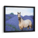 Flor Frolick Iii - Ozana Sturgeon | Cuadro decorativo de Canvas Lab