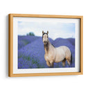 Flor Frolick Iii - Ozana Sturgeon | Cuadro decorativo de Canvas Lab