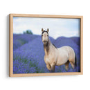 Flor Frolick Iii - Ozana Sturgeon | Cuadro decorativo de Canvas Lab