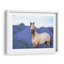 Flor Frolick Iii - Ozana Sturgeon | Cuadro decorativo de Canvas Lab