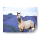 Flor Frolick Iii - Ozana Sturgeon | Cuadro decorativo de Canvas Lab