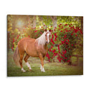 Flor Frolick Iv - Ozana Sturgeon | Cuadro decorativo de Canvas Lab