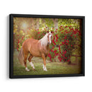 Flor Frolick Iv - Ozana Sturgeon | Cuadro decorativo de Canvas Lab