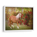 Flor Frolick Iv - Ozana Sturgeon | Cuadro decorativo de Canvas Lab