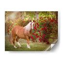 Flor Frolick Iv - Ozana Sturgeon | Cuadro decorativo de Canvas Lab