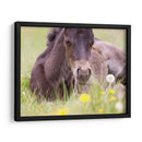 Flor Frolick V - Ozana Sturgeon | Cuadro decorativo de Canvas Lab