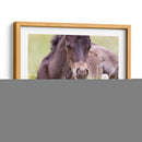 Flor Frolick V - Ozana Sturgeon | Cuadro decorativo de Canvas Lab