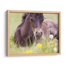 Flor Frolick V - Ozana Sturgeon | Cuadro decorativo de Canvas Lab