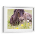 Flor Frolick V - Ozana Sturgeon | Cuadro decorativo de Canvas Lab