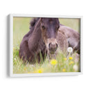 Flor Frolick V - Ozana Sturgeon | Cuadro decorativo de Canvas Lab