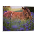 Flor Frolick Vi - Ozana Sturgeon | Cuadro decorativo de Canvas Lab