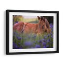 Flor Frolick Vi - Ozana Sturgeon | Cuadro decorativo de Canvas Lab