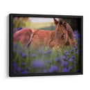 Flor Frolick Vi - Ozana Sturgeon | Cuadro decorativo de Canvas Lab