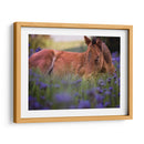 Flor Frolick Vi - Ozana Sturgeon | Cuadro decorativo de Canvas Lab