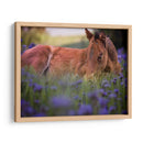 Flor Frolick Vi - Ozana Sturgeon | Cuadro decorativo de Canvas Lab