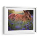 Flor Frolick Vi - Ozana Sturgeon | Cuadro decorativo de Canvas Lab