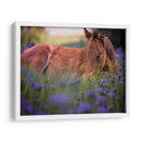 Flor Frolick Vi - Ozana Sturgeon | Cuadro decorativo de Canvas Lab