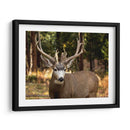 Reloj Deer I - Ozana Sturgeon | Cuadro decorativo de Canvas Lab