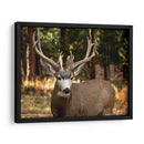 Reloj Deer I - Ozana Sturgeon | Cuadro decorativo de Canvas Lab