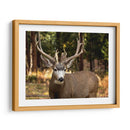 Reloj Deer I - Ozana Sturgeon | Cuadro decorativo de Canvas Lab