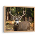 Reloj Deer I - Ozana Sturgeon | Cuadro decorativo de Canvas Lab