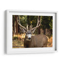 Reloj Deer I - Ozana Sturgeon | Cuadro decorativo de Canvas Lab