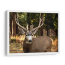 Reloj Deer I - Ozana Sturgeon | Cuadro decorativo de Canvas Lab