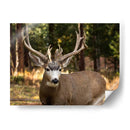 Reloj Deer I - Ozana Sturgeon | Cuadro decorativo de Canvas Lab