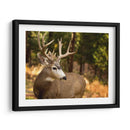 Reloj Deer Ii - Ozana Sturgeon | Cuadro decorativo de Canvas Lab