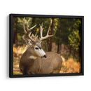 Reloj Deer Ii - Ozana Sturgeon | Cuadro decorativo de Canvas Lab