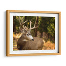 Reloj Deer Ii - Ozana Sturgeon | Cuadro decorativo de Canvas Lab