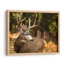 Reloj Deer Ii - Ozana Sturgeon | Cuadro decorativo de Canvas Lab