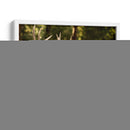 Reloj Deer Ii - Ozana Sturgeon | Cuadro decorativo de Canvas Lab