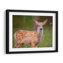 Reloj Deer Iii - Ozana Sturgeon | Cuadro decorativo de Canvas Lab