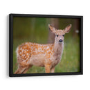 Reloj Deer Iii - Ozana Sturgeon | Cuadro decorativo de Canvas Lab