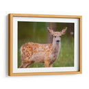 Reloj Deer Iii - Ozana Sturgeon | Cuadro decorativo de Canvas Lab