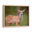 Reloj Deer Iii - Ozana Sturgeon | Cuadro decorativo de Canvas Lab