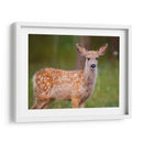 Reloj Deer Iii - Ozana Sturgeon | Cuadro decorativo de Canvas Lab