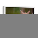 Reloj Deer Iii - Ozana Sturgeon | Cuadro decorativo de Canvas Lab