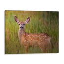 Reloj De Ciervos Iv - Ozana Sturgeon | Cuadro decorativo de Canvas Lab