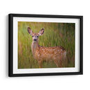 Reloj De Ciervos Iv - Ozana Sturgeon | Cuadro decorativo de Canvas Lab