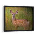 Reloj De Ciervos Iv - Ozana Sturgeon | Cuadro decorativo de Canvas Lab