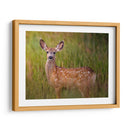 Reloj De Ciervos Iv - Ozana Sturgeon | Cuadro decorativo de Canvas Lab